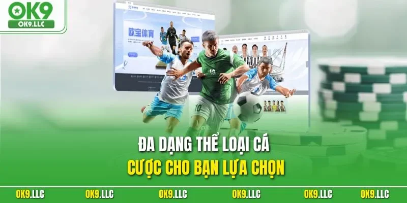 Đa dạng thể loại cá cược cho bạn lựa chọn