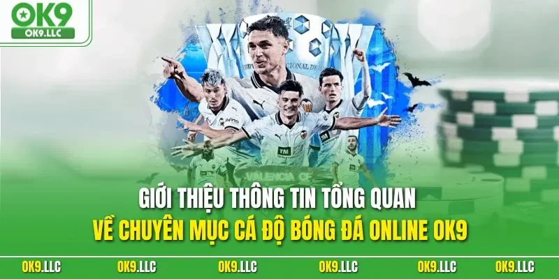 Giới thiệu thông tin tổng quan về chuyên mục cá độ bóng đá online OK9