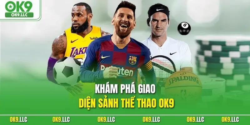 Khám phá giao diện sảnh thể thao OK9