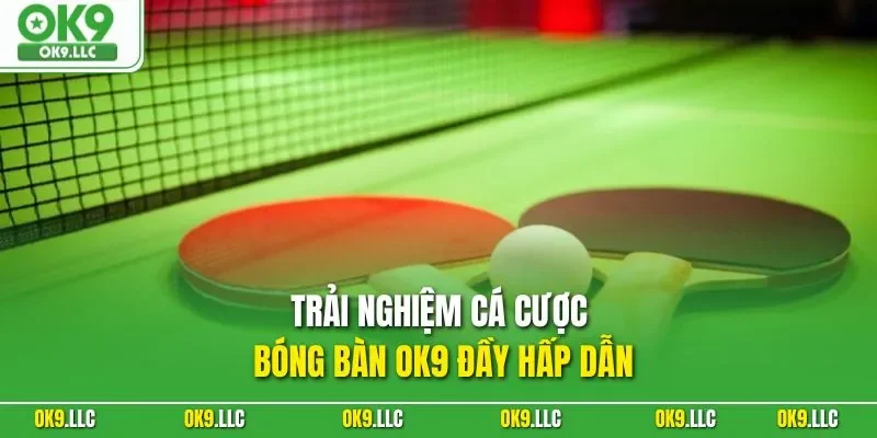 Trải nghiệm cá cược bóng bàn OK9 đầy hấp dẫn
